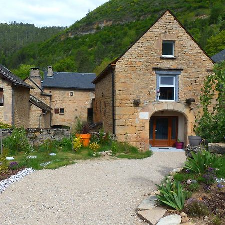 Gite Le Nid Du Colibri - 12 Pers Brenoux Esterno foto