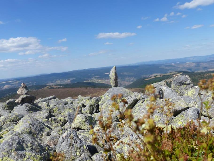 Gite Le Nid Du Colibri - 12 Pers Brenoux Esterno foto